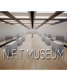 NFT Museum Steam Key GLOBAL